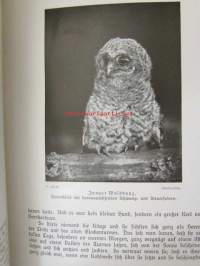 Lebensbilder aus der Tierwelt - Vögel 2, Linnut 2, katso sisältöä kuvista tarkemmin