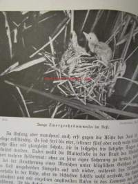 Lebensbilder aus der Tierwelt - Vögel 2, Linnut 2, katso sisältöä kuvista tarkemmin