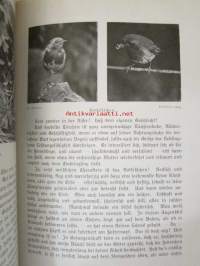 Lebensbilder aus der Tierwelt - Vögel 2, Linnut 2, katso sisältöä kuvista tarkemmin