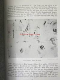 Lebensbilder aus der Tierwelt - Vögel 2, Linnut 2, katso sisältöä kuvista tarkemmin