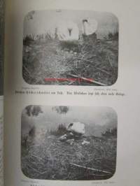 Lebensbilder aus der Tierwelt - Vögel 2, Linnut 2, katso sisältöä kuvista tarkemmin