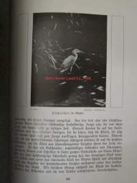 Lebensbilder aus der Tierwelt - Vögel 2, Linnut 2, katso sisältöä kuvista tarkemmin