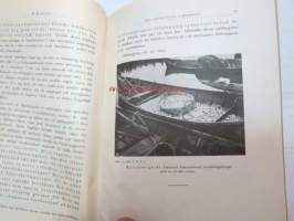 Kan nätfisket föröda muijkstammen? Resultaten af undersökningar rörande muijkstammens sammansättning. - Finlands Fiskerier. Band 3. 1914-15. Öfvertryck -eripainos