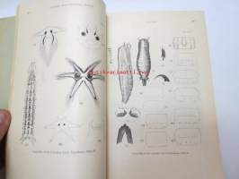 Report of the Canadian Arctic Expedition 1913-18, Volume III: Insects, Part C: Diptera, southern party 1913-16, C.P. Alexander´s dedication to Richard Frey