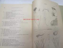 Report of the Canadian Arctic Expedition 1913-18, Volume III: Insects, Part C: Diptera, southern party 1913-16, C.P. Alexander´s dedication to Richard Frey