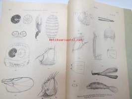 Report of the Canadian Arctic Expedition 1913-18, Volume III: Insects, Part C: Diptera, southern party 1913-16, C.P. Alexander´s dedication to Richard Frey