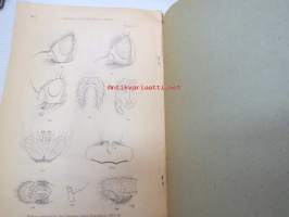 Report of the Canadian Arctic Expedition 1913-18, Volume III: Insects, Part C: Diptera, southern party 1913-16, C.P. Alexander´s dedication to Richard Frey