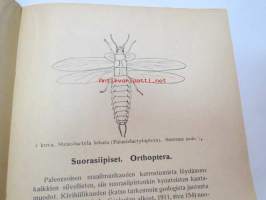 Suomen suorasiipiset