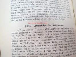 Systematische Phylogenie I-III, Entwurf eines Natürlichen Systems der Organismen auf Grund ihrer Stammesgesichte -omiste ja alkuperäinen nimikirjoitus Ernst Haeckel