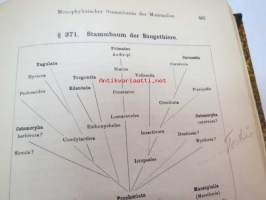 Systematische Phylogenie I-III, Entwurf eines Natürlichen Systems der Organismen auf Grund ihrer Stammesgesichte -omiste ja alkuperäinen nimikirjoitus Ernst Haeckel