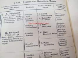 Systematische Phylogenie I-III, Entwurf eines Natürlichen Systems der Organismen auf Grund ihrer Stammesgesichte -omiste ja alkuperäinen nimikirjoitus Ernst Haeckel