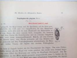 Die Miriden der Äthiopischen Region I Mirina, Cylapina, Bryocorina II Macrolophinae, Heterotominae, Phylinae von B. Poppius - Acta Societas Scientiarum Fennicae
