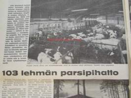 Koneviesti 1974 nr 11, sis. mm. seur. artikkelit / kuvat / mainokset; Täydennys Volvon Traktorisarjaan Malli T 500, 103 Lehmän parsipihatto,