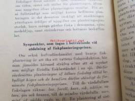 Några råd och anvisningar vid plantering af fisk -neuvoja kalojen istutukseen