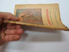 Kuolemanlaaksossa - Amerikalainen salapoliisikertomus -alkuperäinen sidos värikannella -detective story