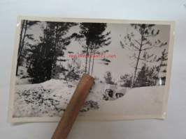 &quot;Vihollinen&quot; -valokuva / photograph