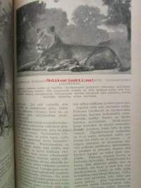 Tiede ja elämä 1919 1. osa