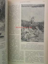 Tiede ja elämä 1919 1. osa