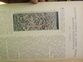 Tiede ja elämä 1924 6. osa