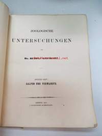 Zoologische Untersuchnungen von Dr. Rudolf Leuckart - Zweites Heft: Salpen und Verwandte., Giessen, 1854, 2 Tafeln