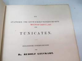 Zoologische Untersuchnungen von Dr. Rudolf Leuckart - Zweites Heft: Salpen und Verwandte., Giessen, 1854, 2 Tafeln