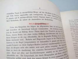 Zoologische Untersuchnungen von Dr. Rudolf Leuckart - Zweites Heft: Salpen und Verwandte., Giessen, 1854, 2 Tafeln