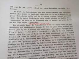 Zoologische Untersuchnungen von Dr. Rudolf Leuckart - Zweites Heft: Salpen und Verwandte., Giessen, 1854, 2 Tafeln