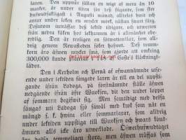 Inspektören för fiskerierna i Finland H.J. Holmbergs underdåniga berättelse om sin werksamhet under år 1861 -kalastuksentarkastajan vuosikertomus 1861 -fishing