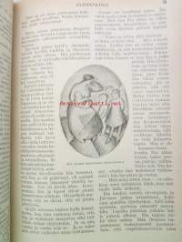 Maailma - Sivistyksellis-kaunokirjallinen kuvalukemisto 1918 joulukuu-1919 kesäkuu, 1. sidos -puolivuosikerta