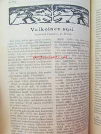 Nuori voima 1920 -vuosikerta