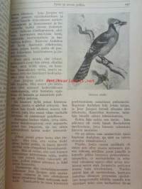 Nuori voima 1920 -vuosikerta