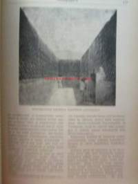 Nuori voima 1920 -vuosikerta
