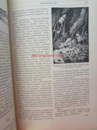 Nuori voima 1920 -vuosikerta