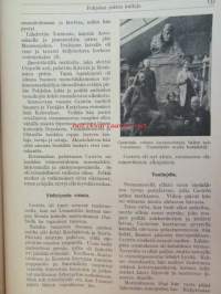 Nuori voima 1920 -vuosikerta