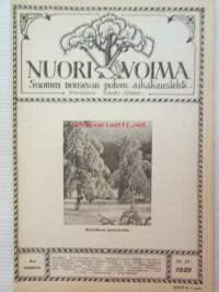 Nuori voima 1920 -vuosikerta