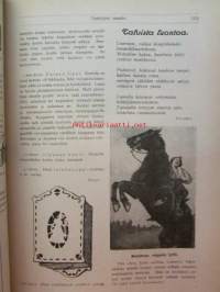 Nuori voima 1920 -vuosikerta