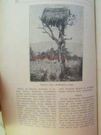 Nuori voima 1923 -vuosikerta