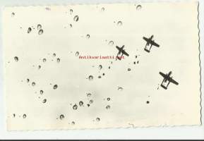 Armee Belge -Belgian armeijan laskuvarjojoukot hyppäävät   - lentokonepostikortti postikortti kulkenut