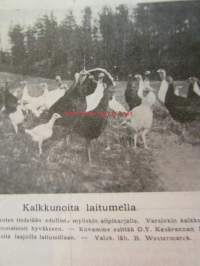 Siipikarja 1930 nr 1-24 vuosikerta - Suomen siikarjanhoitajain liiton äänenkannattaja