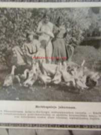 Siipikarja 1930 nr 1-24 vuosikerta - Suomen siikarjanhoitajain liiton äänenkannattaja