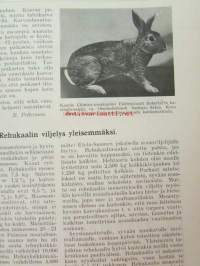 Siipikarja 1930 nr 1-24 vuosikerta - Suomen siikarjanhoitajain liiton äänenkannattaja