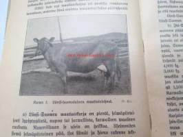 Ohjeita karjataloudessa pienwiljelijöille - Karjanjalostus ja kasvatus, lypsylehmien ruokinta ja hoito