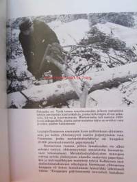 Puusta pitemmälle - Metsäliitto 1934 -1984
