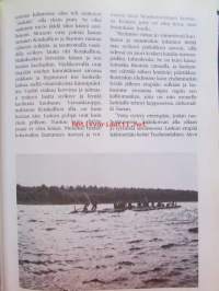 Rauma-Repolan metsätaival 1870-1990