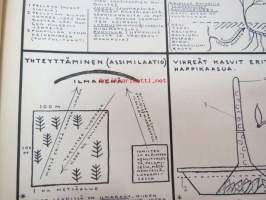 Luonnontietoa piirroksina - luonnontiedon opetuksen ja työkirjan laadinnan ohjeeksi tables to help teach natural history