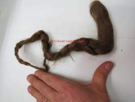 Hiuspalmikko, irtileikattu muistoksi, säilytetty paperiin käärittynä -hair, kept as memory