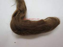 Hiuspalmikko, irtileikattu muistoksi, säilytetty paperiin käärittynä -hair, kept as memory