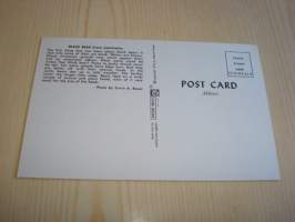 American Wildlife: Black Bear, Mustakarhu, 1981, USA, ensipäiväkortti, FDC, hieno. Katso myös muut kohteeni, mm. noin 1 200 erilaista amerikkalaista