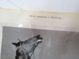 Börje Jeppsson &amp; Spitfire -valokuva / photograph