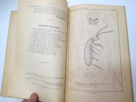 Eine neue Tomocerus-Art (Collembola) aus Ost-Russland - Mit einer Tafel (Ottisk is esogodnika zoologizestkavo Museja Imperatorskoi Akademii Nauk, 1899), St.